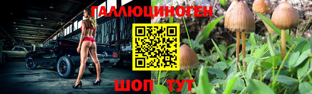 купить  цена  Вход с VPN  Волоколамск  Псилоцибиновые грибы MAGIC MUSHROOMS 