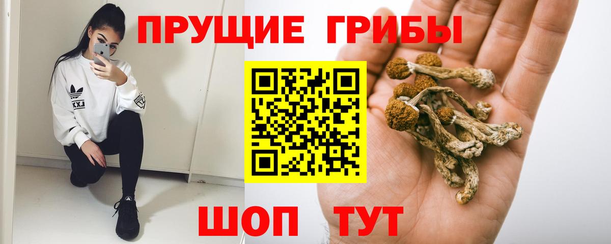 Псилоцибиновые грибы GOLDEN TEACHER Волоколамск